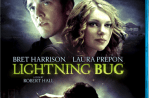 lightning-bug-blu