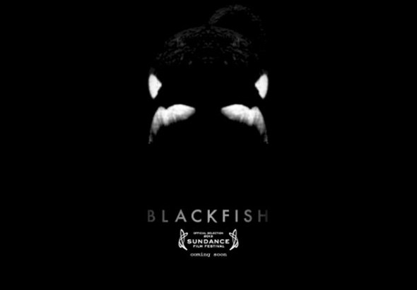 blackfish poster